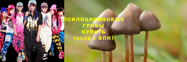 бутират Карпинск