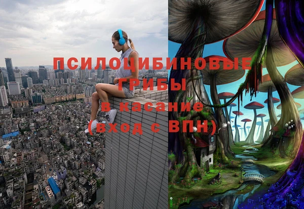 спайс Касимов