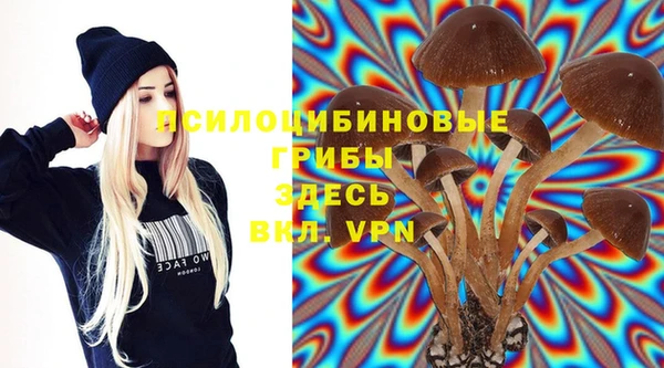 спайс Касимов