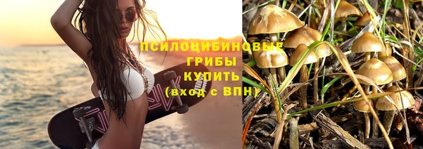 спайс Касимов