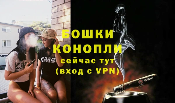 спайс Касимов